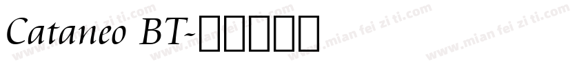 Cataneo BT字体转换